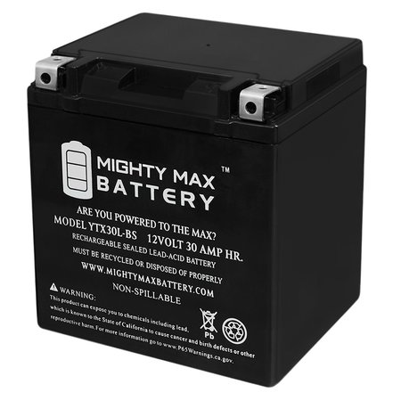 MIGHTY MAX BATTERY MAX3969636